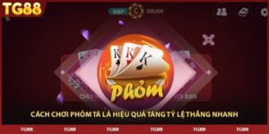 Cách Chơi Phỏm Tá Lả Hiệu Quả Số 1 Tăng Tỷ Lệ Thắng Nhanh