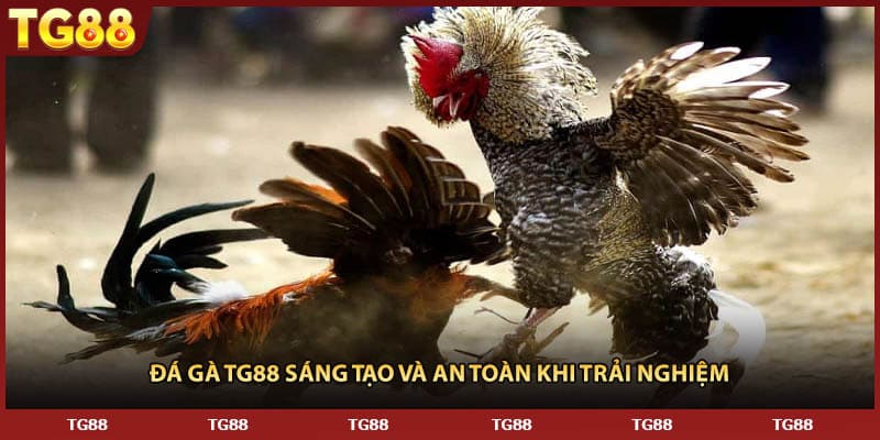 Đá gà TG88 sáng tạo và an toàn khi trải nghiệm