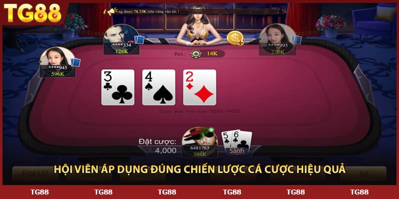 Hội viên áp dụng đúng chiến lược cá cược hiệu quả 