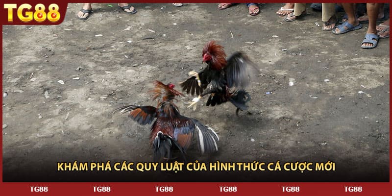 Khám phá các quy luật của hình thức cá cược mới