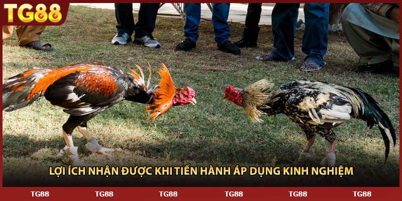 Lợi ích nhận được khi tiến hành áp dụng kinh nghiệm