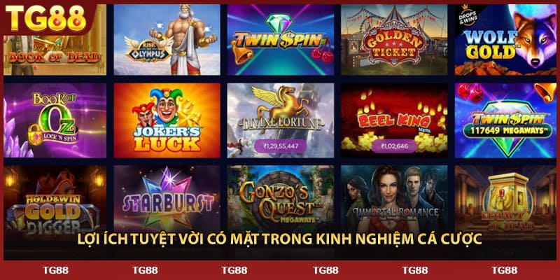 Lợi ích tuyệt vời có mặt trong kinh nghiệm cá cược