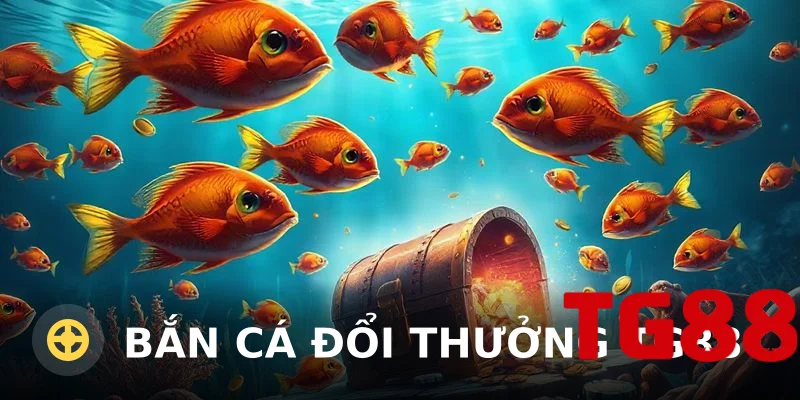 Bắn cá đổi thưởng TG88: Đánh giá chi tiết, kinh nghiệm thực tế và lưu ý an toàn