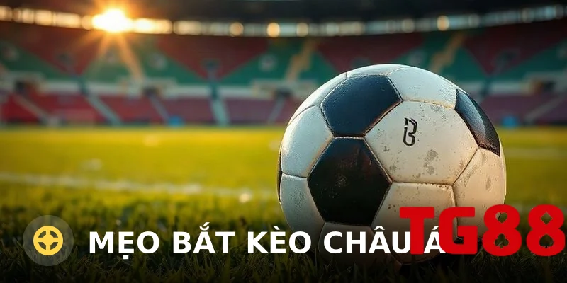 Mẹo Bắt Kèo Châu Á Hiệu Quả Từ Chuyên Gia Cá Cược