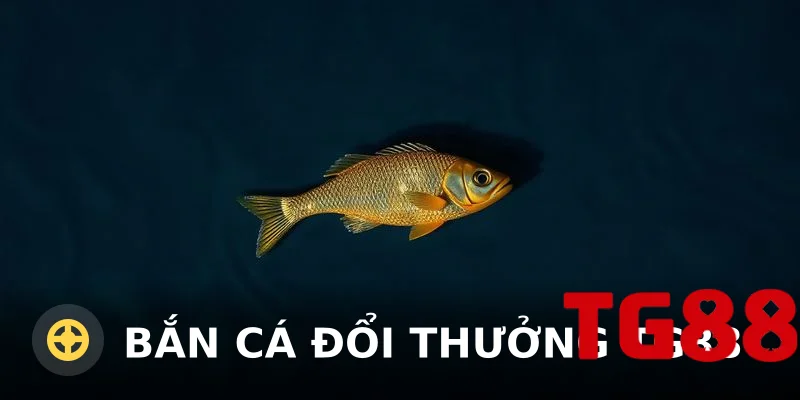 Bắn cá đổi thưởng TG88 – Săn thưởng lớn, đổi tiền thật