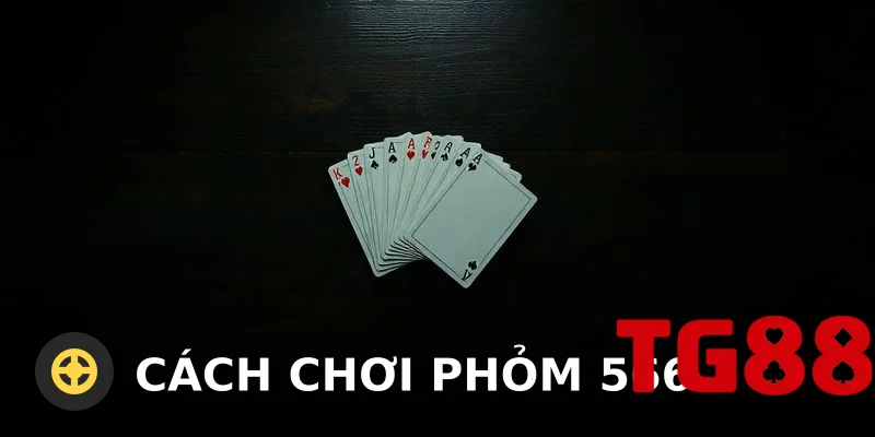 Cách chơi phỏm 566: Hướng dẫn từ A đến Z cho người mới